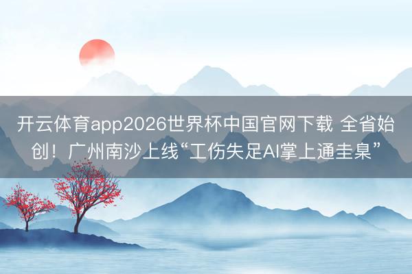 开云体育app2026世界杯中国官网下载 全省始创！广州南沙上线“工伤失足AI掌上通圭臬”